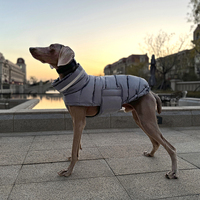 Vêtements pour animaux de compagnie personnalisés en gros, veste réfléchissante de sport pour l'extérieur, vêtements de créateur pour animaux de compagnie, veste imperméable pour chien et chat, hiver, 100% imperméable