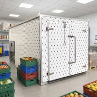 Déshydrateur Industriel Haute Efficacité pour Piments, Fruits et Légumes, Séchoir à Viande, Séchoir à Grains de Café, Four de Séchage Industriel