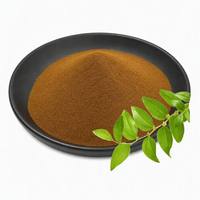 100% Zuiver Natuurlijk Ziziphus Jujube Bladerpoeder