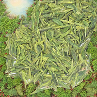 Nuevo Té Verde de Alta Calidad, 100% Puro, Hojas Enteras, Suministro a Granel en Caja y Bolsa para Mezclas de Té y Uso Culinario