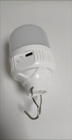 Portable 30W 80W 150W 200W Led USB Rechargeable Lumière Urgence Camping Ampoule Lampe pour Ménage En Plein Air en Stock