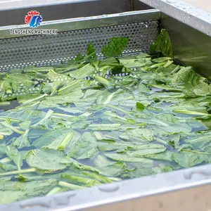 Machine à laver les légumes et les fruits, Machine de petite taille, avec processeur ménager à l'ozone