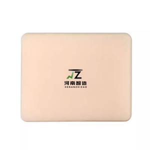 अल्ट्रासोनिक पंक्चर फैंटम व्यापक प्रशिक्षण मॉडल जिसमें रक्त वाहिकाओं ट्यूमर तंत्रिकाओं और साइस्ट - Product Image 2