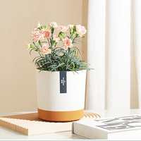 Pot de fleurs nordique pour bureau à domicile, pots de culture simples, jardinières en plastique écologique, pour fleurs, bonsaïs, pépinière, décoration maison et jardin