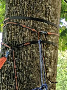 Sistema <span class=keywords><strong>de</strong></span> Suspensión para Hamaca <span class=keywords><strong>de</strong></span> Camping <span class=keywords><strong>de</strong></span> Alta Calidad, Correas para Árboles con Costuras Reforzadas y <span class=keywords><strong>Bolsa</strong></span> <span class=keywords><strong>de</strong></span> Transporte - Product Image 5