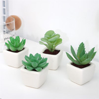 Ensemble de 4 mini-succulentes artificielles vertes en céramique blanche carrée avec pot en PVC, durables pour la décoration de la maison ou du bureau