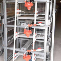 Cages en batterie poules pondeuses 1000 poules pondeuses cage avec collecte d'œufs ferme avicole