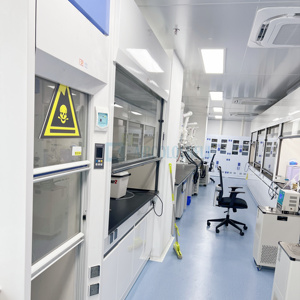 Banco de trabajo de laboratorio ampliamente utilizado, biología, química, cultivo de tejidos, muebles de laboratorio electrónico, mesa de laboratorio Dental - Product Image 2