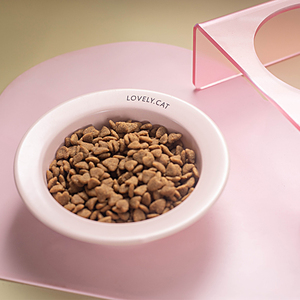 Nouvel Arrivage – Gamelle surélevée pour chat <span class=keywords><strong>en</strong></span> <span class=keywords><strong>verre</strong></span> et céramique, 8 couleurs, avec support <span class=keywords><strong>en</strong></span> plastique - Product Image 5