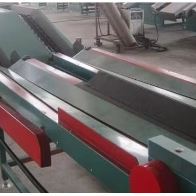 AI Macadamia Nuts Belt Type Sorting