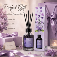 Diffuseur à bâtonnets 100 ml, collection OEM, huile parfumée personnalisable avec bâtonnets en rotin pour marque privée, vente en gros