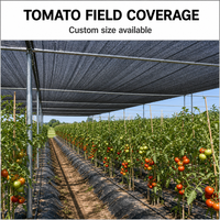 Filet d'ombrage durable couleur sable en HDPE tricoté warp, résistant aux UV, 50 % d'ombrage pour la protection des cultures agricoles, serres, tomates et légumes