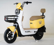 Electric Two-wheeler Electric Bike