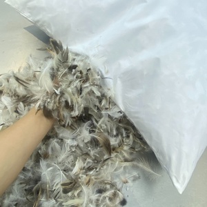 Chuyên tùy biến các thông số kỹ thuật khác nhau của vịt lông Gối lõi phòng khách sofa trang trí gối đệm - Product Image 4