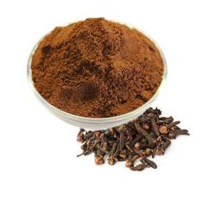 Canela en Polvo Pura y Natural, Especia Premium Laung, Molido Finamente, con Aroma Intenso, Sabor Picante y Calidad Culinaria Superior - Product Image 1