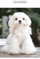 Robe d'hiver de luxe mignonne en dentelle pour animaux de compagnie, avec nœud, vêtements doux pour petits chiens, anti-chute de poils pour Bichon, vente en gros, logo personnalisé