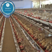 Cage à poulets de chair à prix d'usine, cage en treillis soudé pour l'élevage de cailles et de poulets, directement de l'usine de Guangzhou