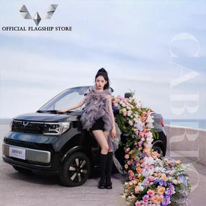 WuLing Miniev <span class=keywords><strong>Convertible</strong></span> SAIC Wuling Wuling Hong Guang Miniev <span class=keywords><strong>Cabrio</strong></span>, Auto Eléctrico con Volante a la Derecha - Product Image 5