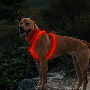 High-End desain Modern kustom Modern, warna-warni tahan lama menggantung 6MM serat bulat tali pengikat timah untuk anjing - Product Image 4