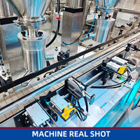Machine de remplissage automatique à double tête pour poudre, pour bouteilles PET, cassave, amidon de maïs, flocons d'avoine, farine