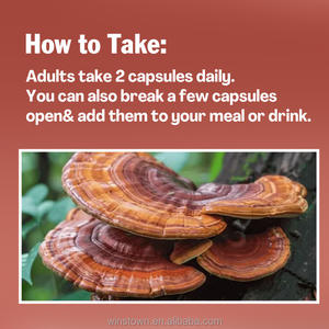 WINS Town reishi แคปซูลอาหารเสริมสกัดสมุนไพร reishi - Product Image 2