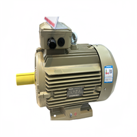 Moteur à induction AC triphasé 380V/440V, efficacité IE3, montage sur pied