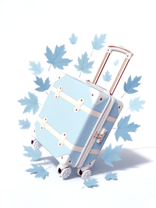 Ensembles de bagages vintage pour PC, jolies valises de cabine légères et durables, valises de voyage pour adolescents - Product Image 5