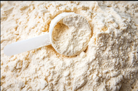 Logo personnalisé, suppléments nutritionnels sportifs de haute qualité, gain de masse musculaire, protéines de lactosérum, poudre de protéines de lactosérum