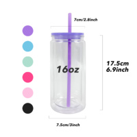 Gobelets en plastique transparent de 16 oz pour globe à neige, en acrylique à double paroi, pré-percés, avec couvercles colorés et paille, entrepôt américain