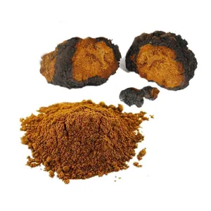 B.C.I Wholesale Bulk Inonotus Obliquus Extract Brown Mushroom Powder 30% Polysaccharides Chaga Extract