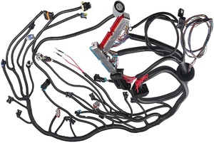1997-2006 LS1 LS2 LS3 Drive dengan kabel Standalone mesin Swap Wiring <span class=keywords><strong>Harness</strong></span> dengan 4L60E/4L80E transmisi EV1 Fuel Injecto - Product Image 2