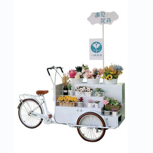 Chariots de Rue Mobiles à Bicyclette au Design Classique pour Présentoir à Fleurs, Crèmes Glacées et Snacks à Vendre - Product Image 3