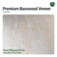 Panneaux de contreplaqué de tilleul 4x3ft (1220x920mm) 3mm avec âme en peuplier pour découpe laser, artisanat DIY, modélisme et jouets de puzzle