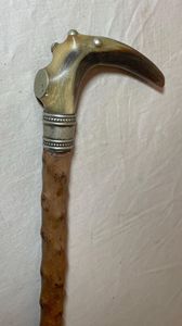 Canne de marche artisanale en corne naturelle, poignée en corne de buffle de qualité supérieure, bâton de marche traditionnel - Product Image 1