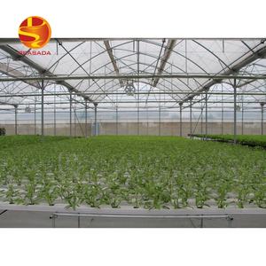Sistema de granja de lechuga comercial Prasada Greenhouse para sistemas de cultivo <span class=keywords><strong>NFT</strong></span> tubería de PVC - Product Image 3