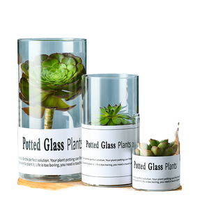 <span class=keywords><strong>Vase</strong></span> à fleurs moderne, <span class=keywords><strong>grand</strong></span>, simple, <span class=keywords><strong>cylindrique</strong></span>, <span class=keywords><strong>en</strong></span> <span class=keywords><strong>verre</strong></span> <span class=keywords><strong>transparent</strong></span> écologique, pour plantes vivantes et décorations de mariage - Product Image 3