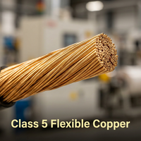 Cu/XLPE/PVC/SWA Feuerfestes Flexibles Armiertes Kabel 0,6/1kV Kupferleiter für Industrielle Infrastruktur