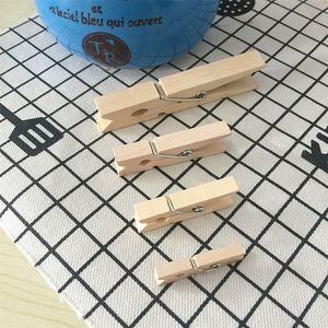 Hộp Vải Mùa Xuân Newell Bảng Chunky Trái Cây Đồ Chơi <span class=keywords><strong>12</strong></span> "Kẹp Quần Áo Chốt Búp Bê Bằng Gỗ Với Màu Sắc Tùy Chỉnh - Product Image 2