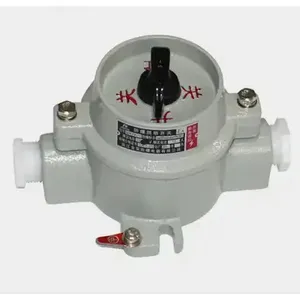 Explosion Proof Changeover Switches Die-Cast Aluminum Explosion-Proof Switch 220V 380V Explosion-Proof Push Button Switch