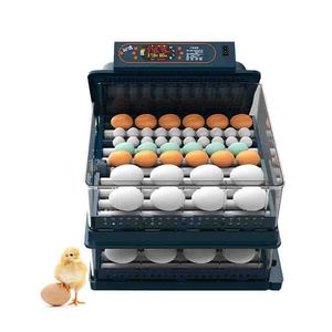 OEM-incubadora doméstica para huevos de loro, para incubar huevos de gallina y pato - Product Image 2