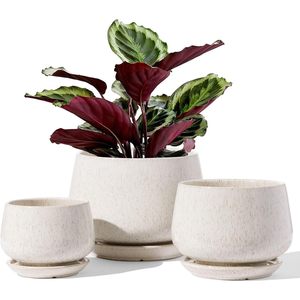 Le Tauci <b>Ceramic</b> <b>Plant</b> <b>Pots</b> Set Of 3 Reactive Glaze Beige With Drainage Hole And Saucer Modern Design For Indoor <b>Plants</b> - Product Image 1