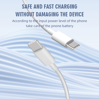 Nouvel ensemble chargeur rapide et câble de données USB/Type-C double PD20W US/EU/UK personnalisé avec matériau GaN pour téléphones/séries 15/16/17