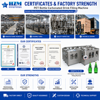 Ligne de production de remplissage de boissons gazeuses 8000 BPH avec rinçage, remplissage et capsulage rotatifs à contre-pression pour bouteilles PET ou en verre