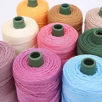 Dimuni High Quality 3mm 220g PP Style Polypropylene Yarn Dyed for Hand Knitting