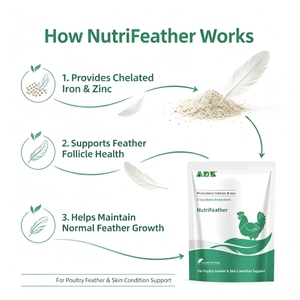 NutriFeather, Premezcla Nutritiva para el Cuidado <span class=keywords><strong>de</strong></span> Plumas <span class=keywords><strong>de</strong></span> Aves <span class=keywords><strong>de</strong></span> Corral, Mejora el Brillo <span class=keywords><strong>de</strong></span> las Plumas, Alivia el <span class=keywords><strong>Trastorno</strong></span> <span class=keywords><strong>de</strong></span> Picar - Product Image 2