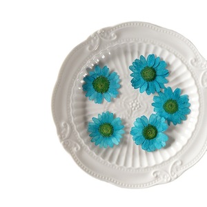 12PCS Naturel Réel Coloré Pressé Séché Daisy Fleur pour la Fabrication de Bijoux Téléphone Cas Décor - Product Image 5