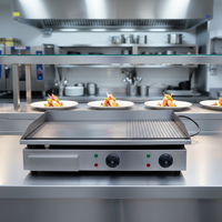Plaque de cuisson électrique plate commerciale en acier inoxydable 2026, avec cartouche d'huile amovible, pour cuisine – Ventes Flash