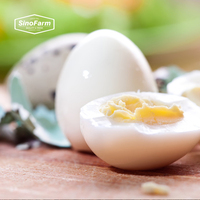 Almacenamiento en frío de alta calidad pequeño huevo de gallina huevo de codorniz conservado y congelado EXPORTACIÓN DE China a precio de venta al por mayor alimentos