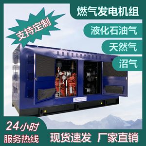 Generador de Gas Pulita 20-1500KW con Motor de GLP de Ahorro Energético para Uso en Estaciones - Product Image 5