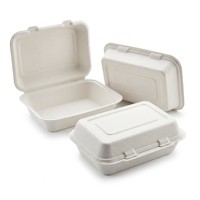 Boîte à emporter écologique en bagasse XS-CH096A, robuste et articulée, pour l'emballage alimentaire à emporter